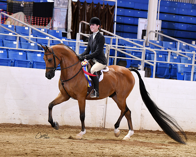 Culbreth Equine