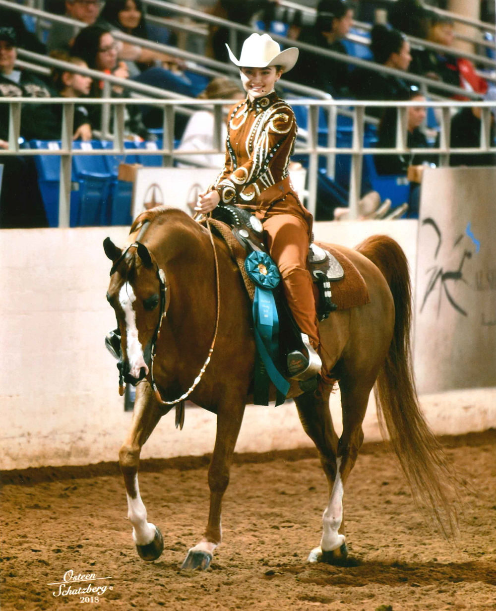 Culbreth Equine