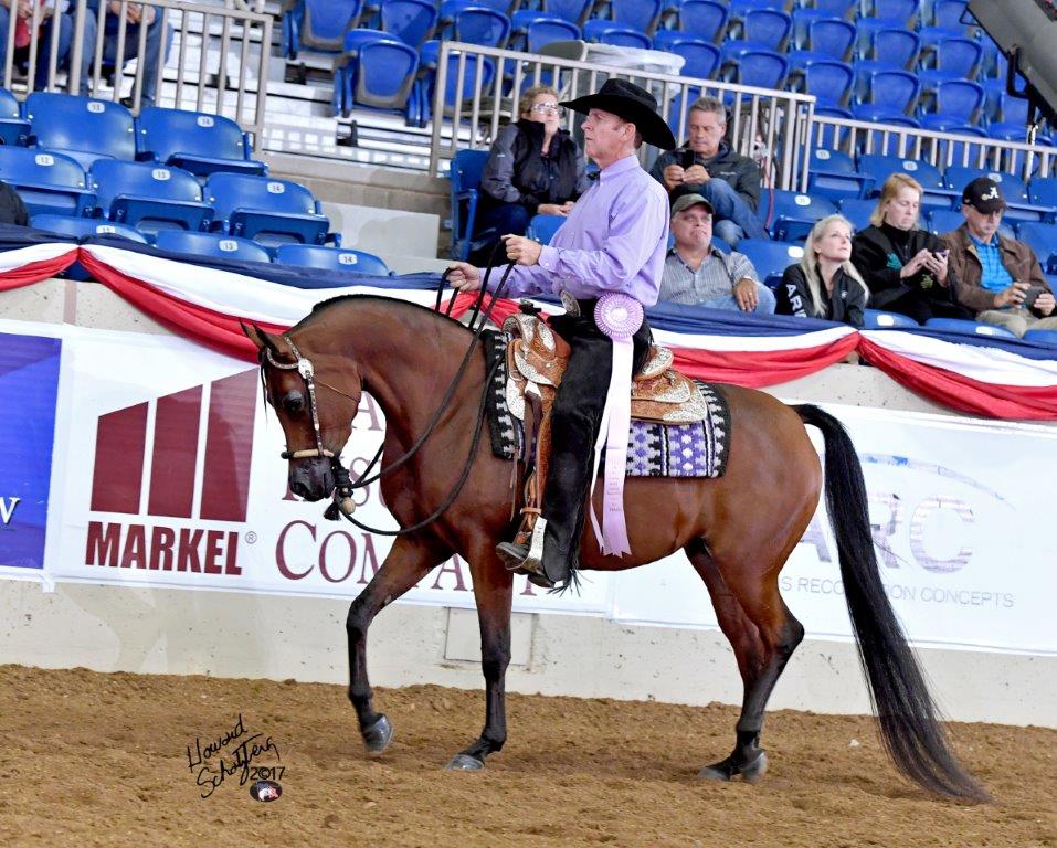 Culbreth Equine
