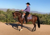 Culbreth Equine