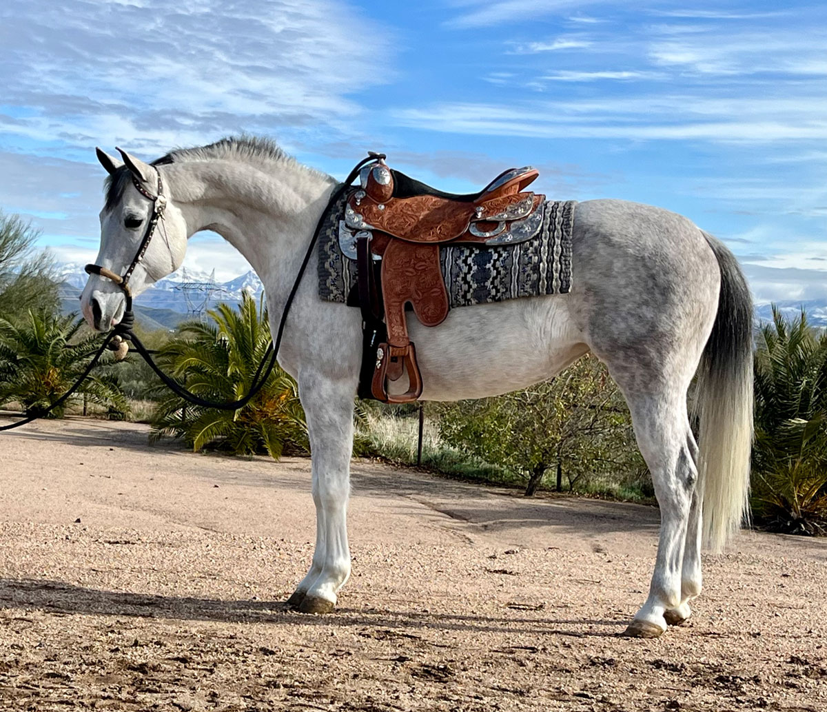 Culbreth Equine