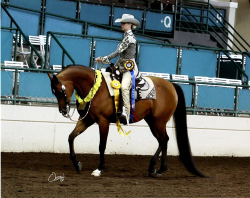 Royal Shes The Boom