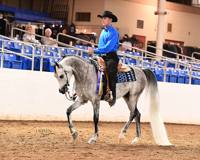 Culbreth Equine