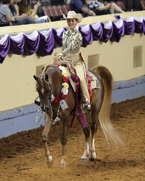 Culbreth Equine