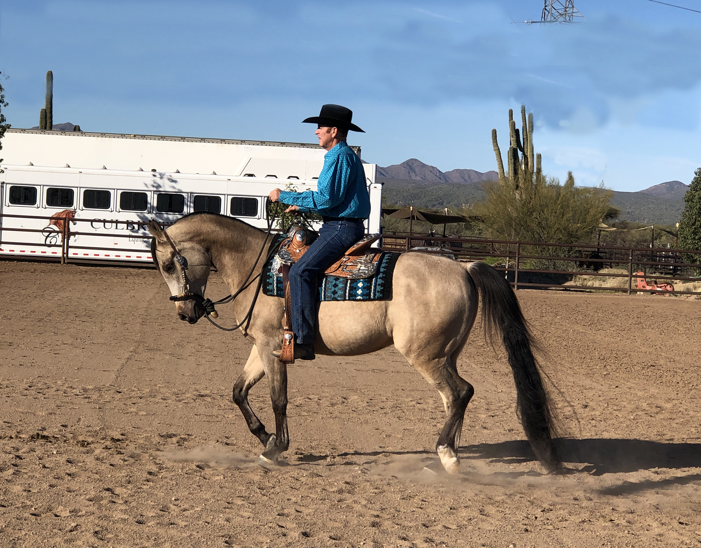 Culbreth Equine
