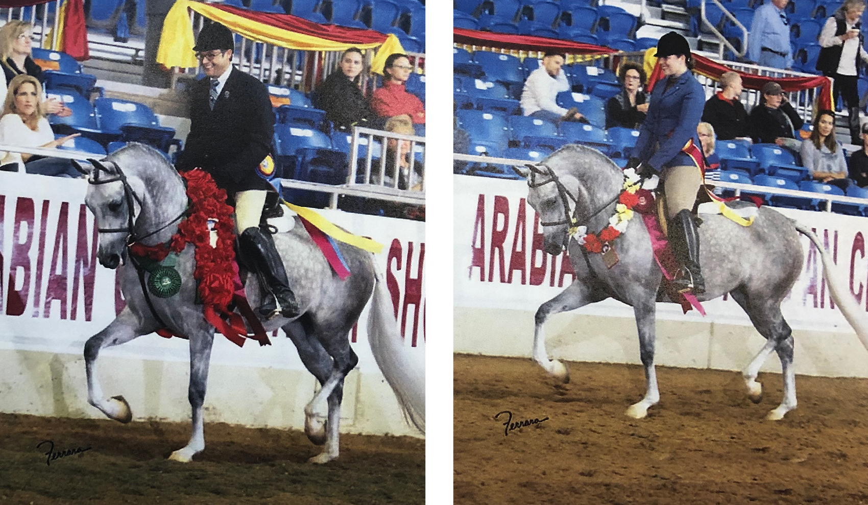 Culbreth Equine